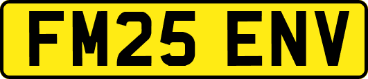 FM25ENV