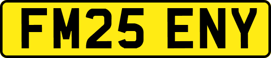 FM25ENY