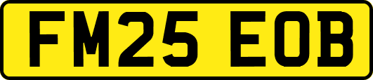 FM25EOB
