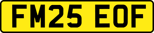 FM25EOF