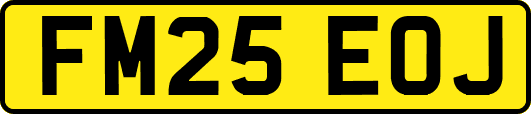 FM25EOJ