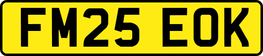 FM25EOK