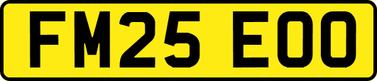 FM25EOO