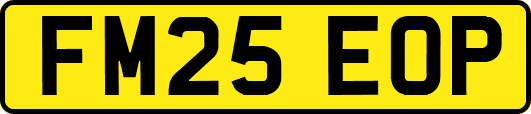FM25EOP
