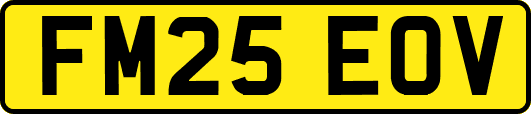 FM25EOV