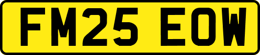 FM25EOW