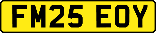 FM25EOY
