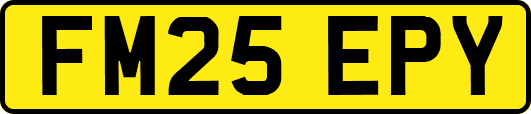 FM25EPY