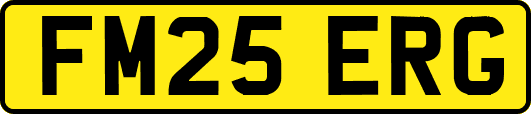 FM25ERG
