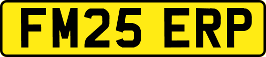 FM25ERP