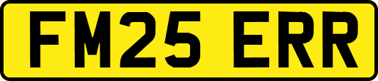 FM25ERR