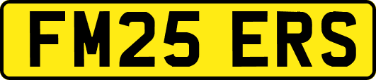 FM25ERS