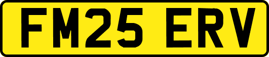 FM25ERV