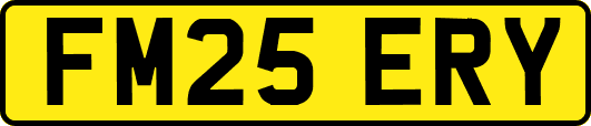 FM25ERY