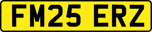 FM25ERZ