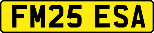 FM25ESA