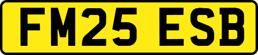 FM25ESB