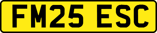 FM25ESC