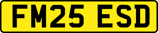 FM25ESD
