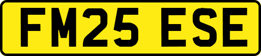 FM25ESE