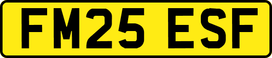 FM25ESF