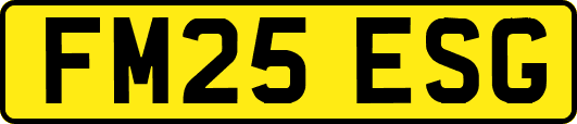 FM25ESG