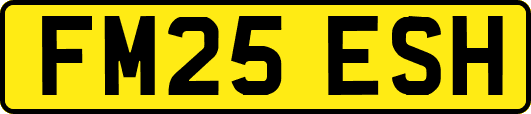FM25ESH