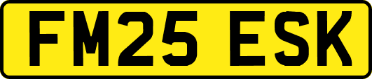 FM25ESK