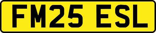 FM25ESL