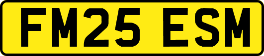 FM25ESM
