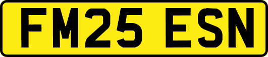 FM25ESN