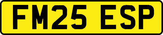 FM25ESP