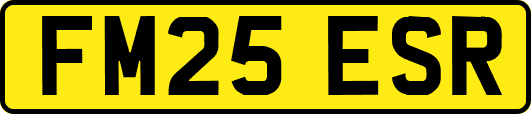 FM25ESR