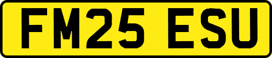 FM25ESU