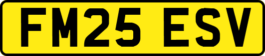 FM25ESV