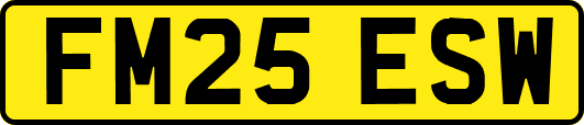 FM25ESW