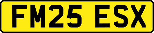 FM25ESX