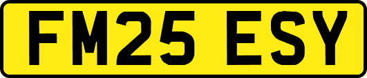 FM25ESY