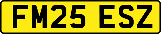FM25ESZ