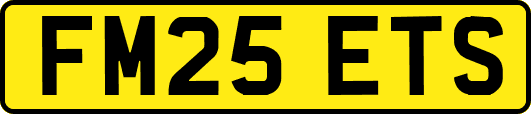 FM25ETS