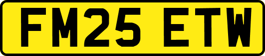 FM25ETW