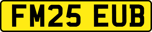 FM25EUB