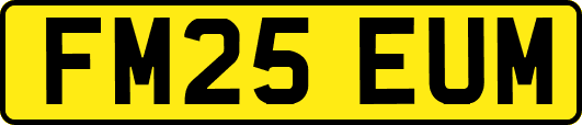 FM25EUM
