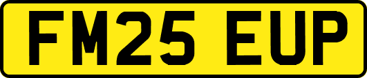FM25EUP
