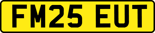 FM25EUT