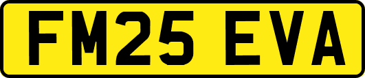 FM25EVA
