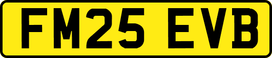 FM25EVB