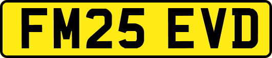 FM25EVD