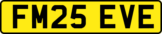 FM25EVE