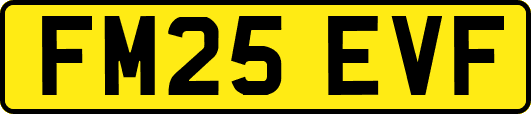 FM25EVF